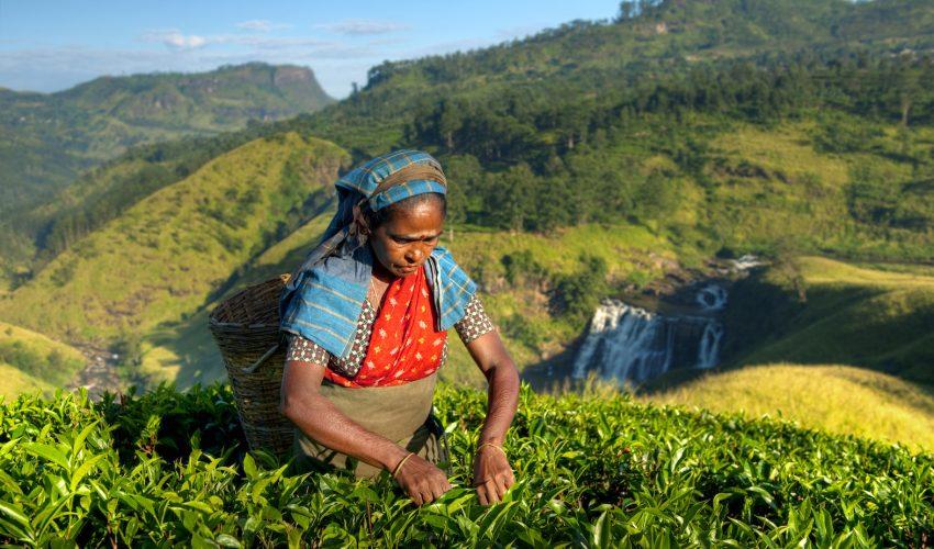 Urgent action taken to secure land rights of Indigenous peoples
