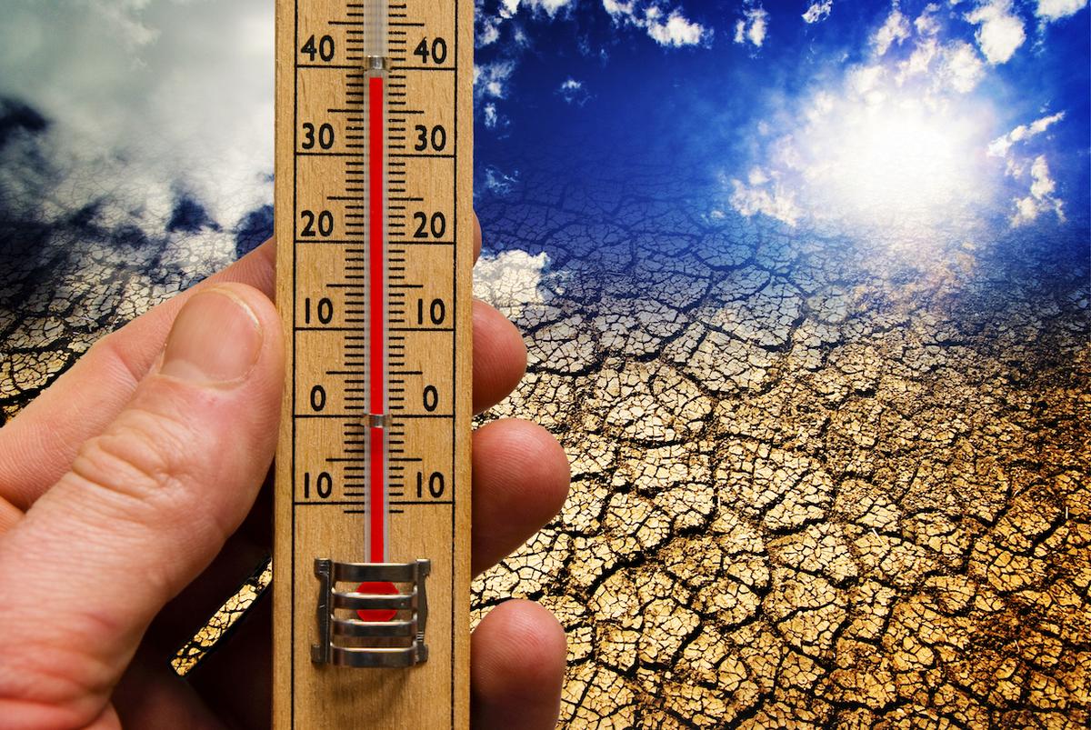 March second warmest on record, agency says