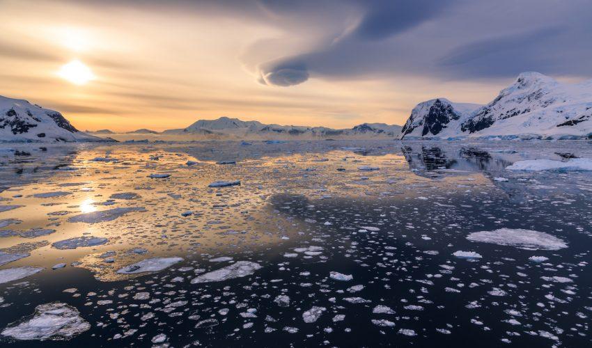 Antarctica has a big biodiversity problem