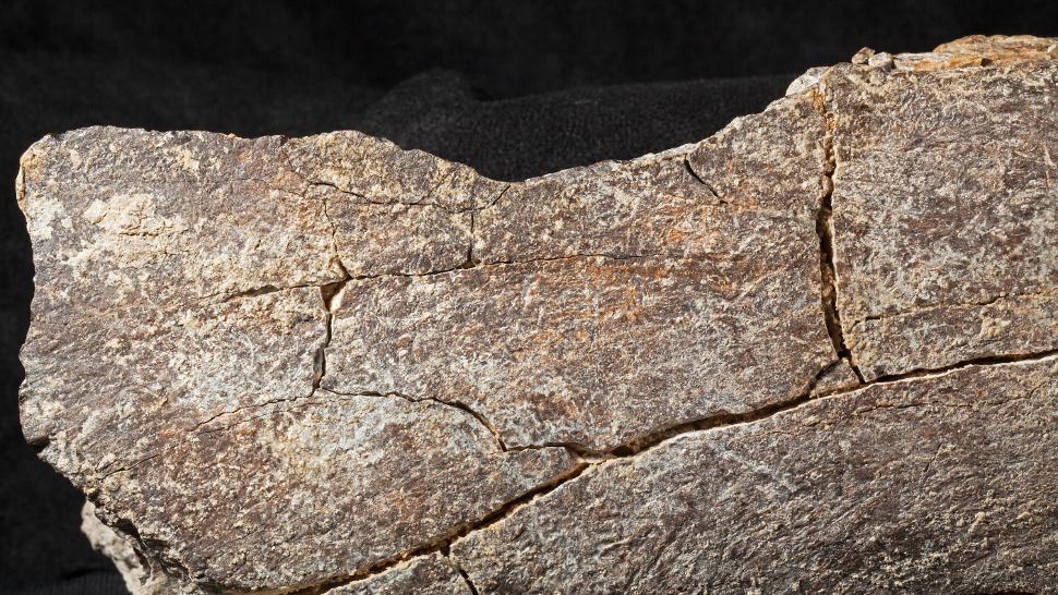 Study: Humans were in America far earlier than previously thought