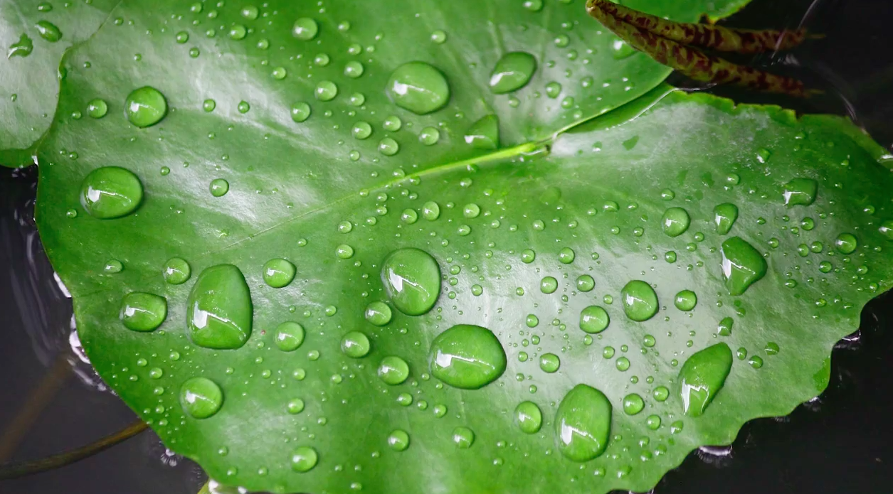 New waterproof material sheds like a snake when scratched