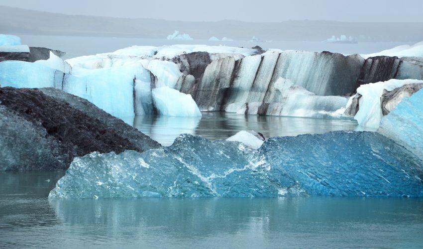 Report: Climate change unleashing deadly viruses, bacteria