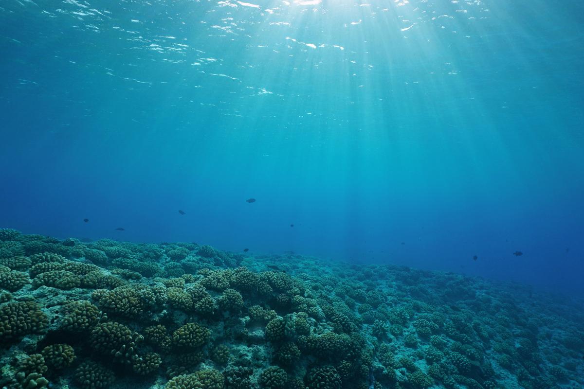 Japan and China extract frozen fossil fuel from the sea floor