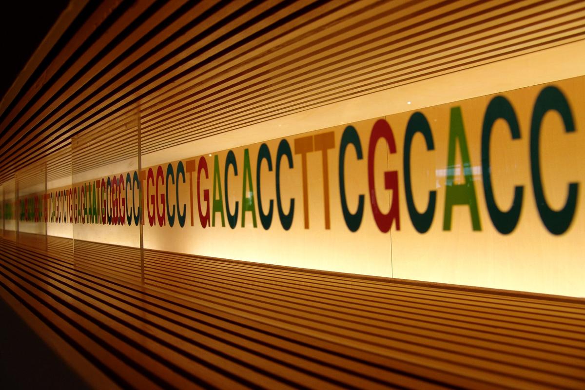 New study: Teach genetics first to better explain evolution