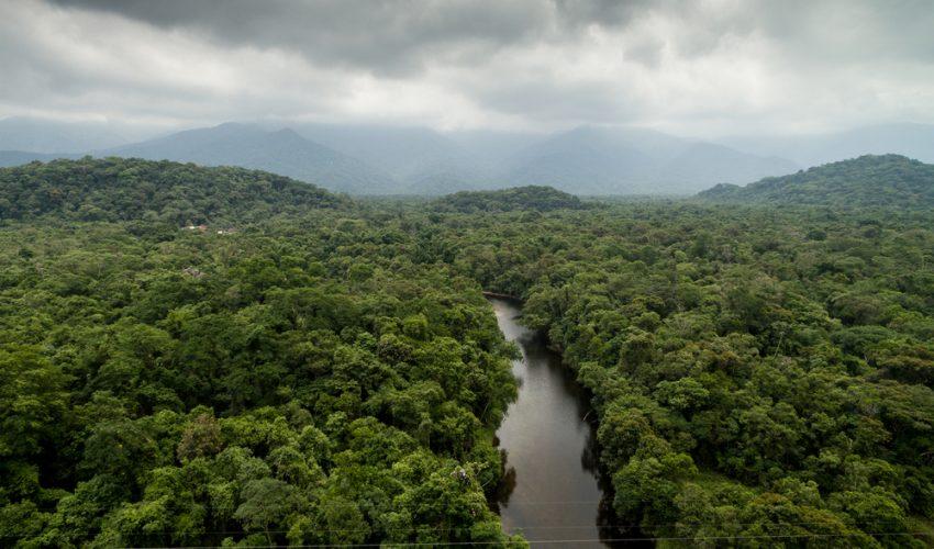 Vegetation could alter Earth's climate up to 30 percent