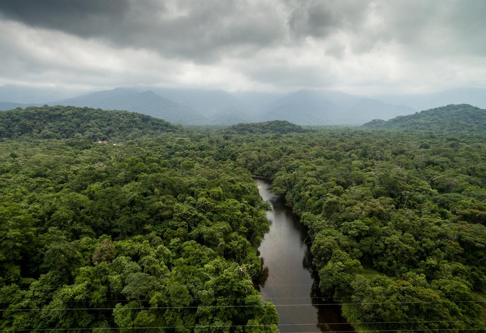 Vegetation could alter Earth's climate up to 30 percent