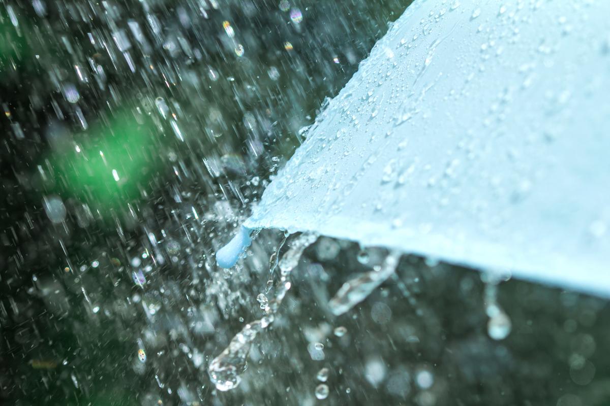 Study: Rainfall affects carbon emissions from soil microbes