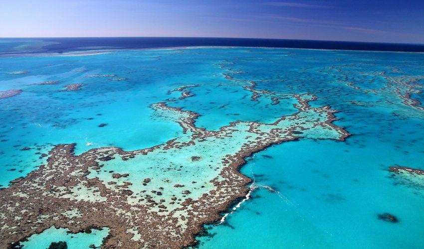 Great Barrier Reef coral loss even worse than predicted
