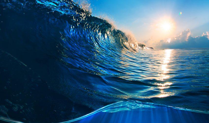 Renewing the ocean could help end poverty and world hunger