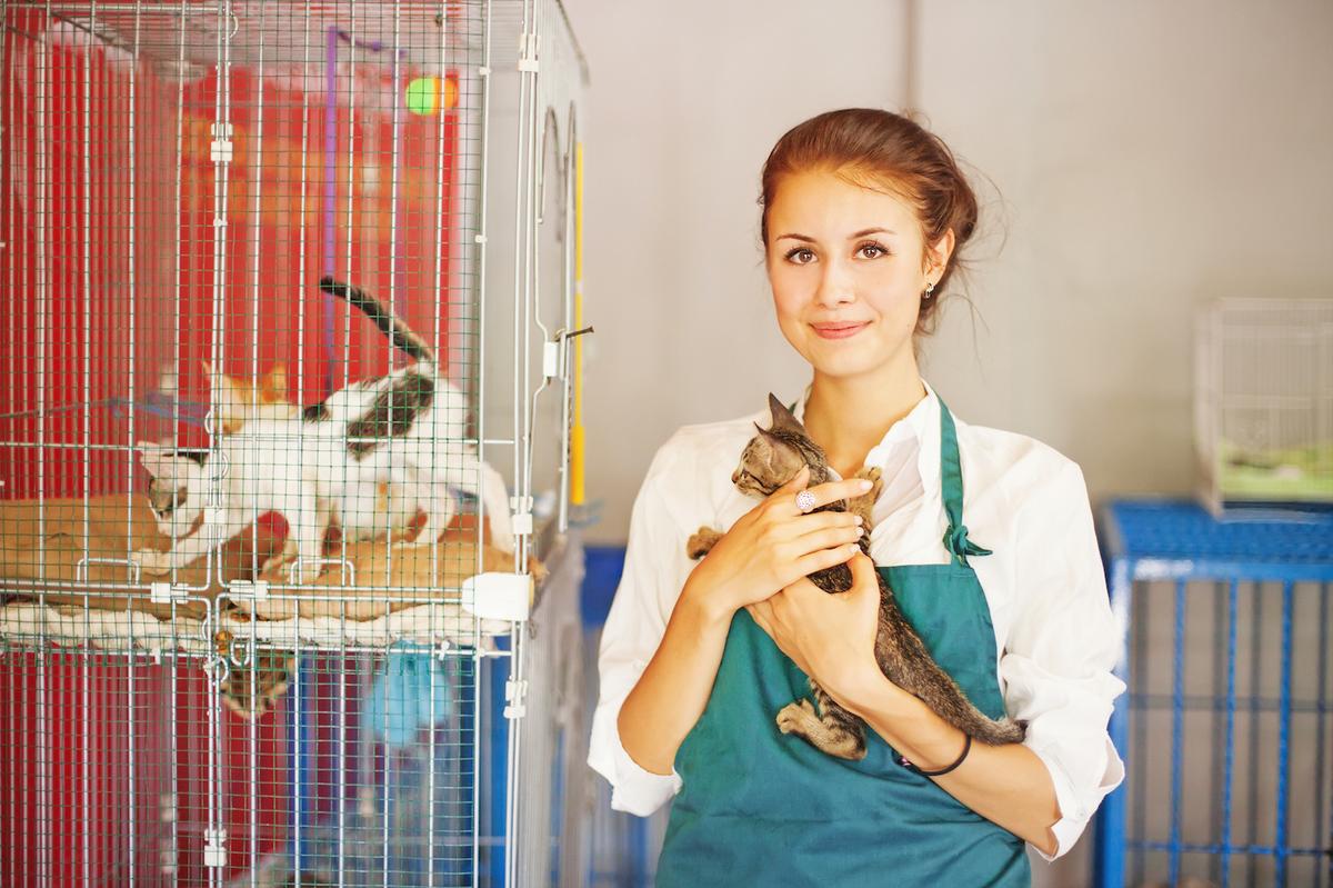 What’s the difference between animal shelters and animal rescues?