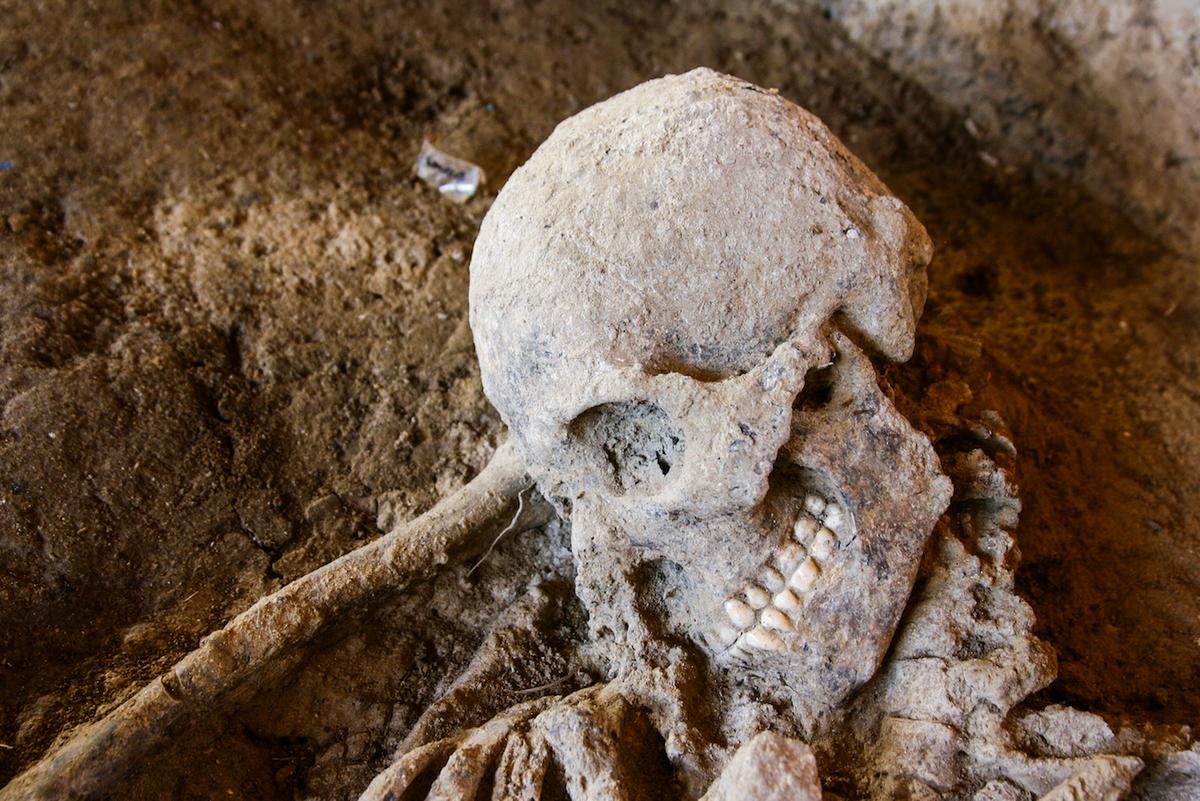Fossils reveal new details about the diet of early humans