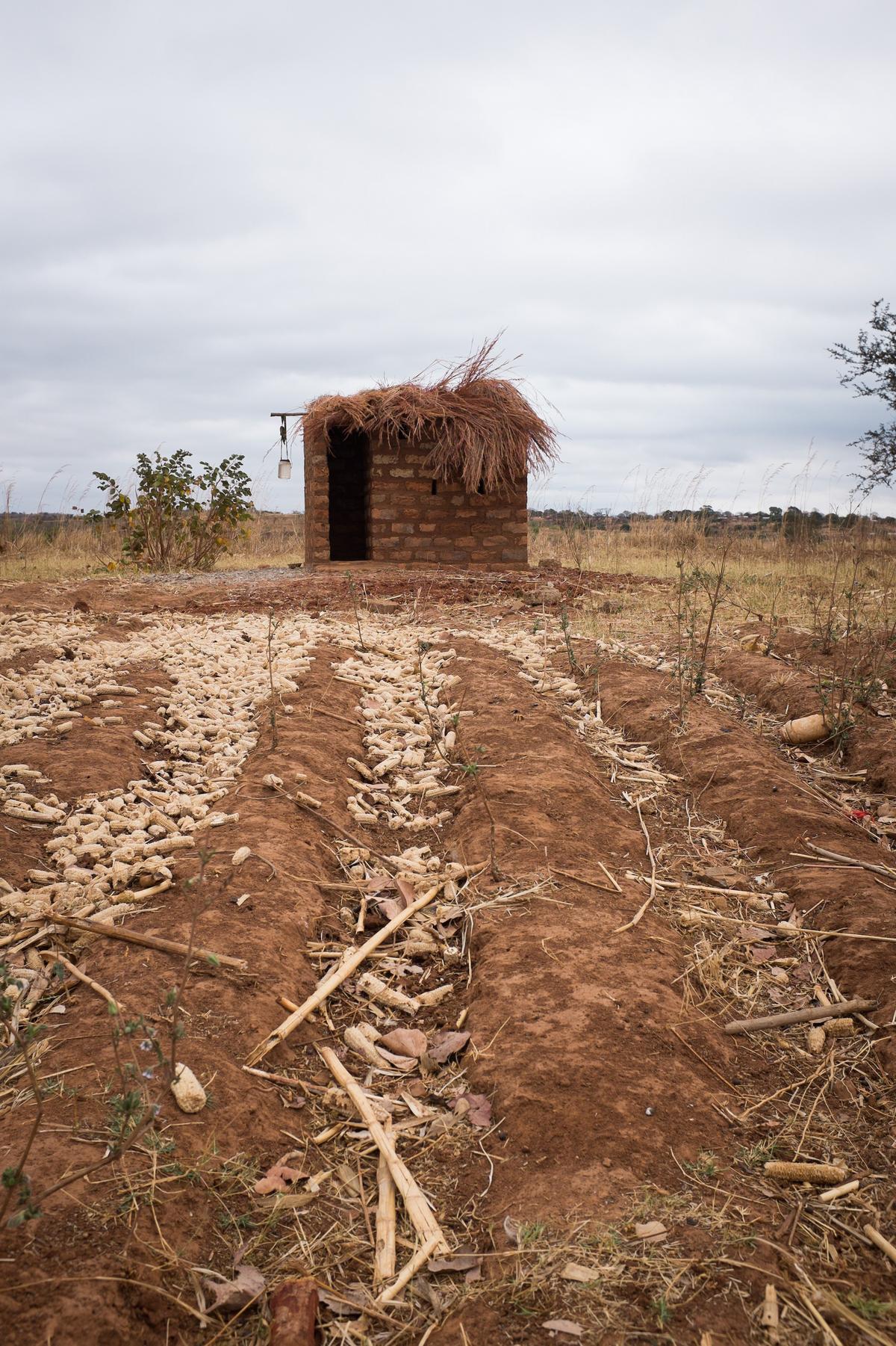 Study: Sanitation access crucial to growth and health of children