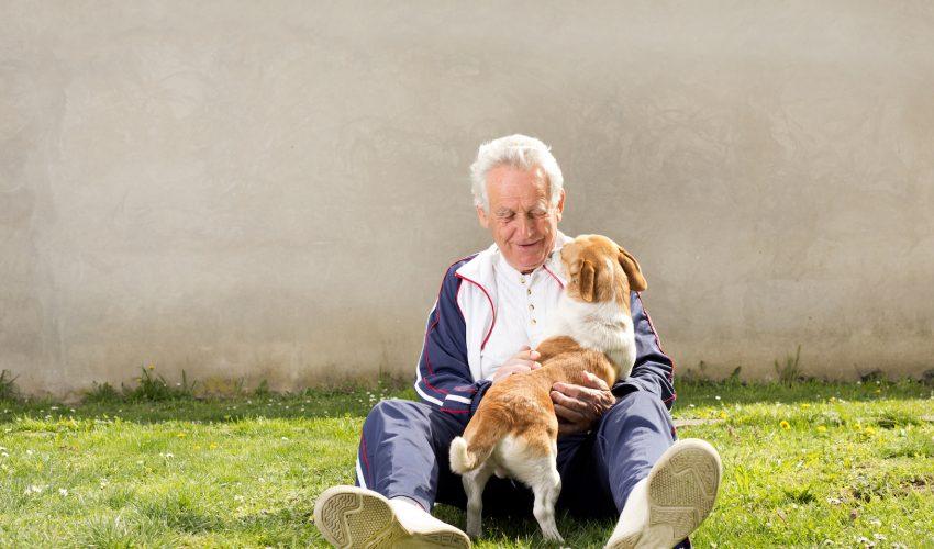 Study: Having a dog helps older people stay active