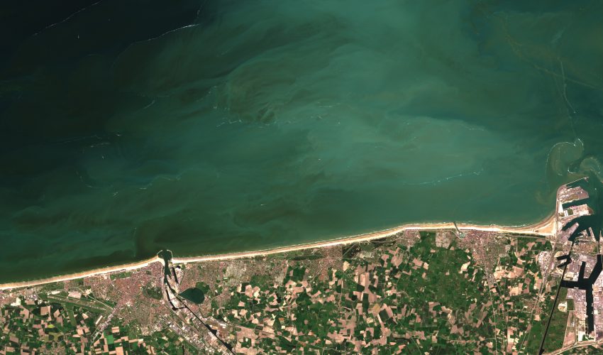Phytoplankton bloom of the coast of Belgium