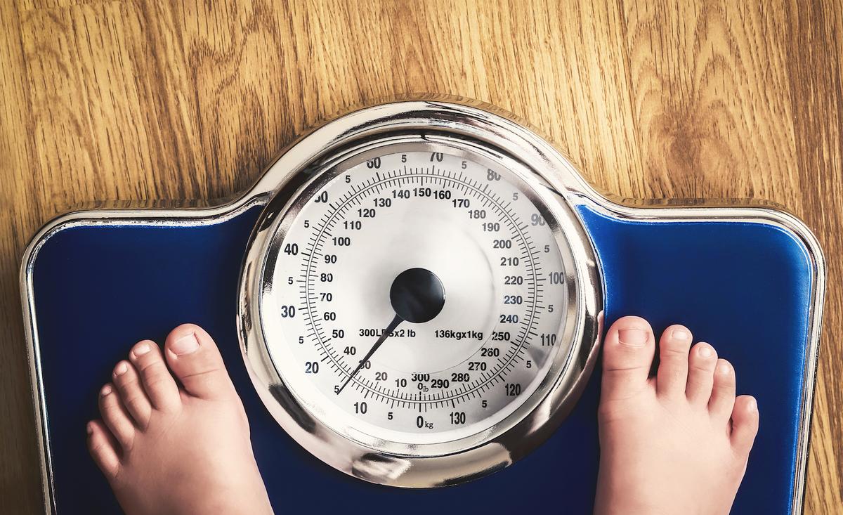 New appetite regulator could pave the way for human obesity drug