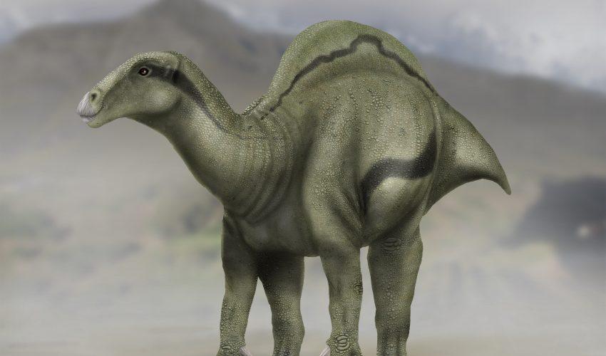 125 million year-old dinosaur fossil found in Spain