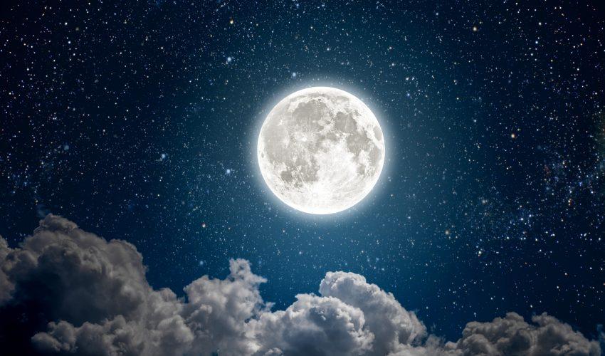 China will attempt to grow potatoes, silkworms on moon