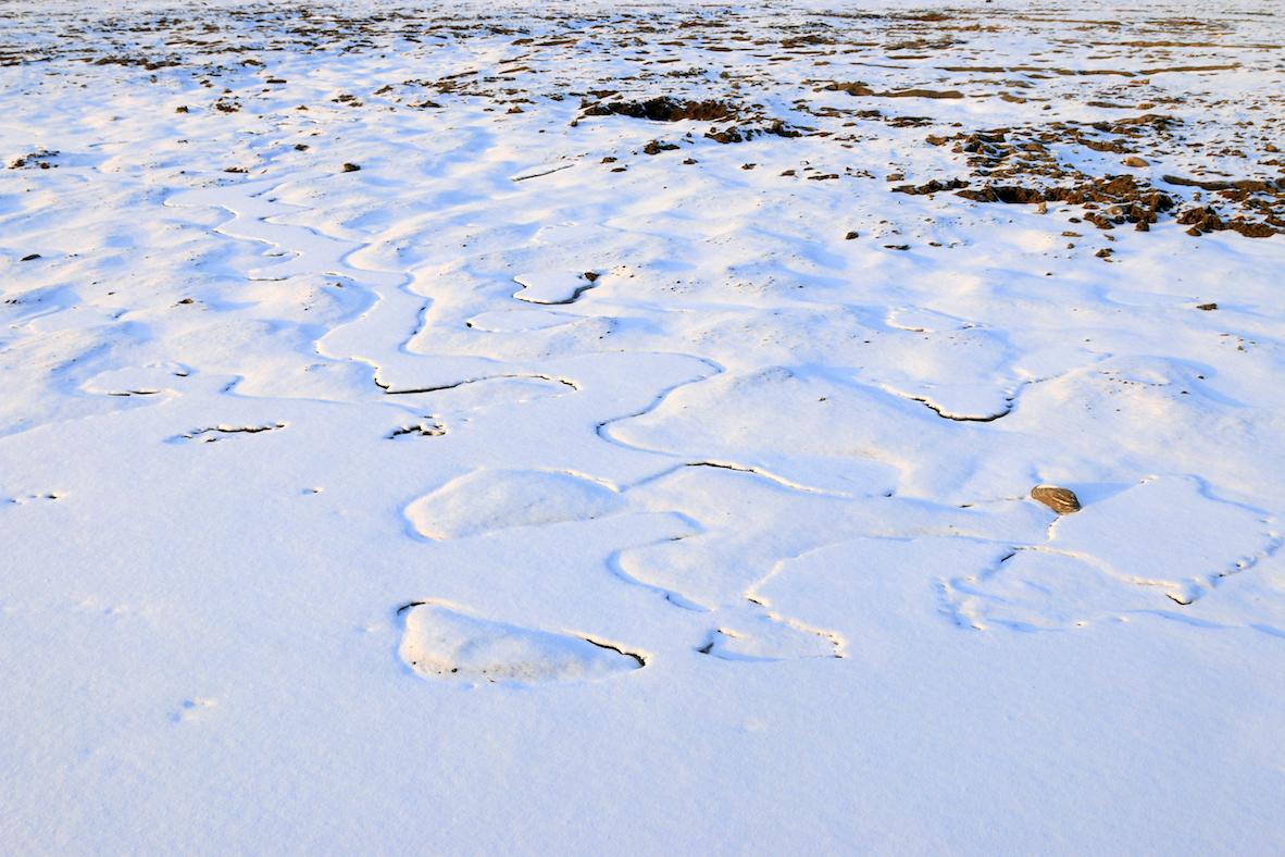 Melting permafrost can help predict rate of climate change