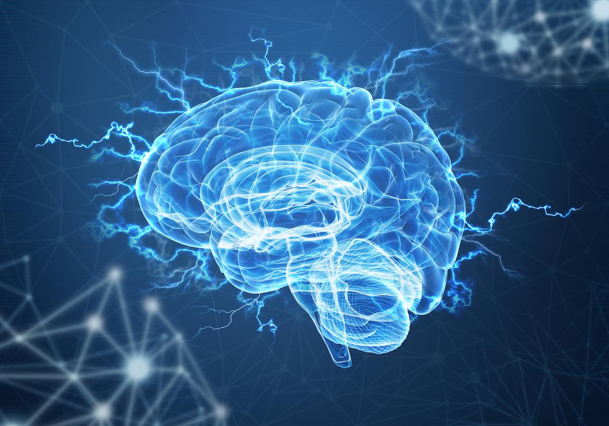 How training can change the way the brain pays attention