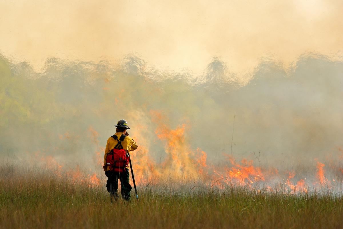 Earth losing grasslands and seeing fewer fires due to agriculture
