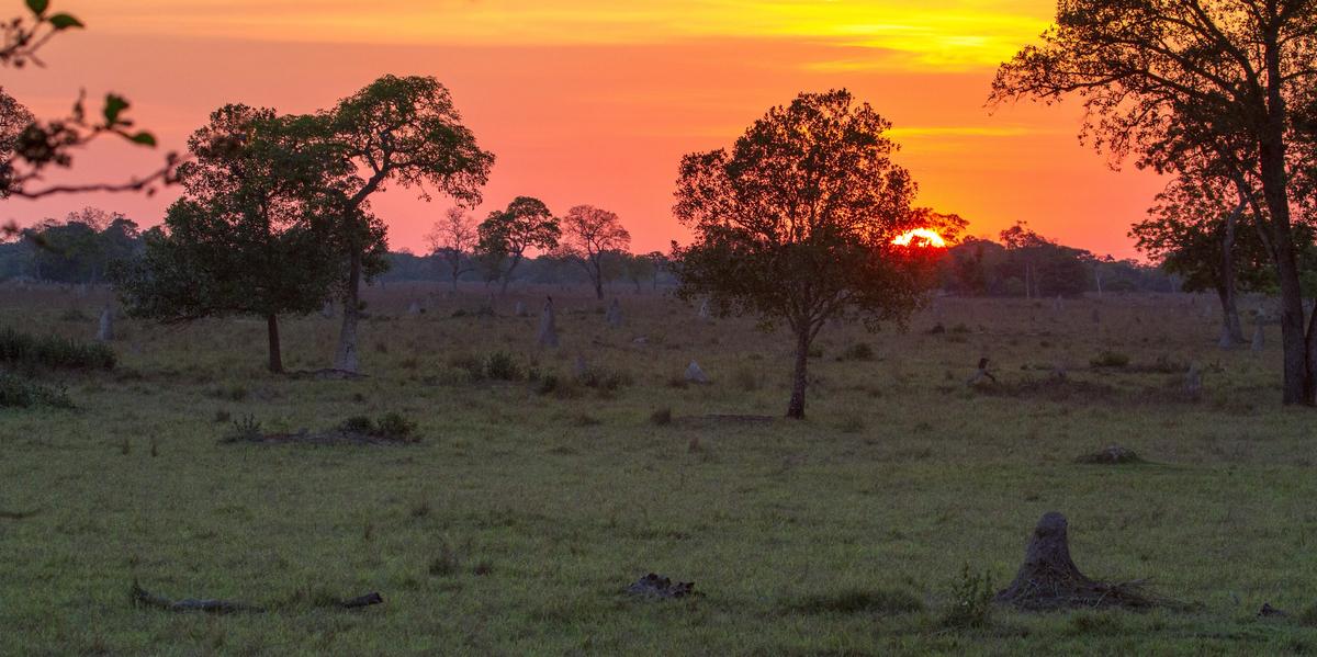 Why wilderness regions urgently need the UN’s protection