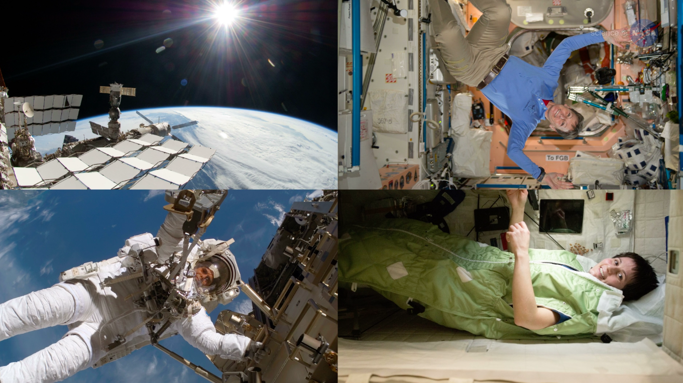 How being in space affects the human immune system