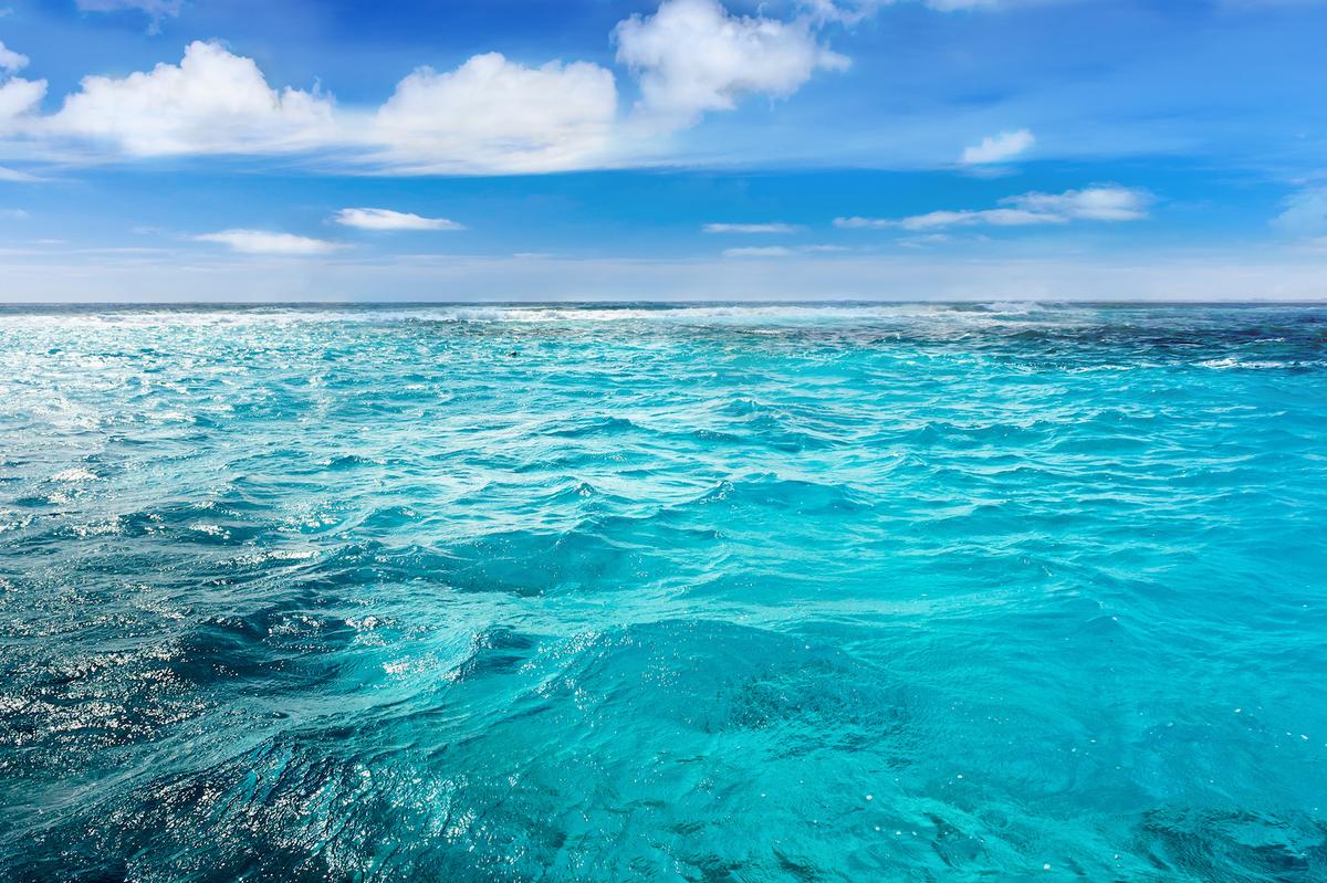 Study: Ocean health stable, with some exceptions