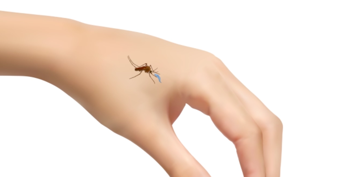 How a parasite can sense the caloric intake of its host