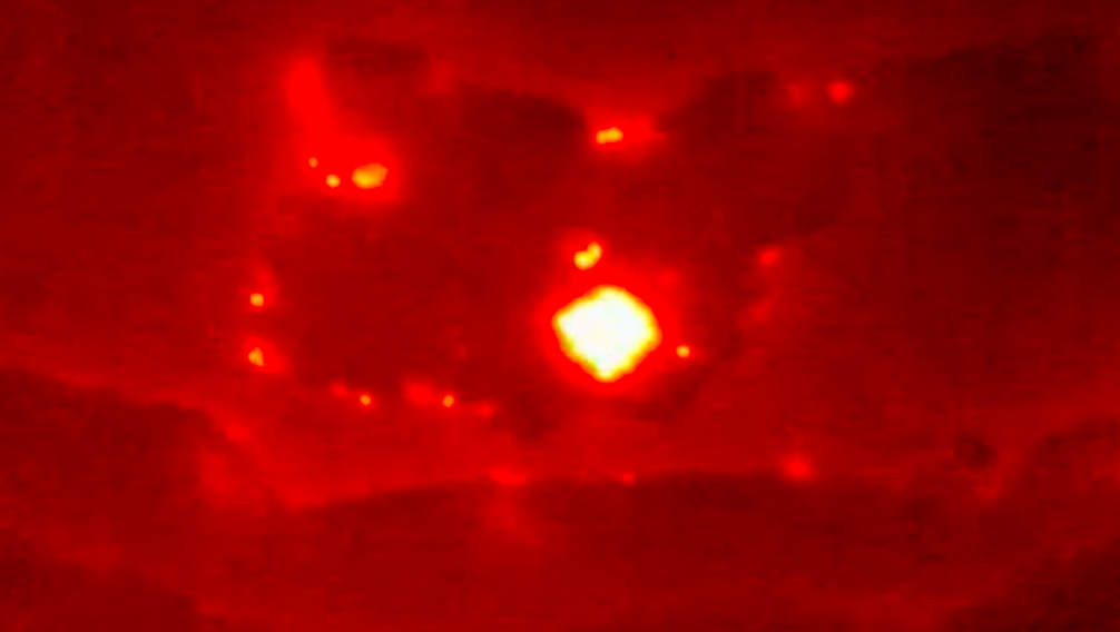 Bats who hibernate together are better at surviving illness