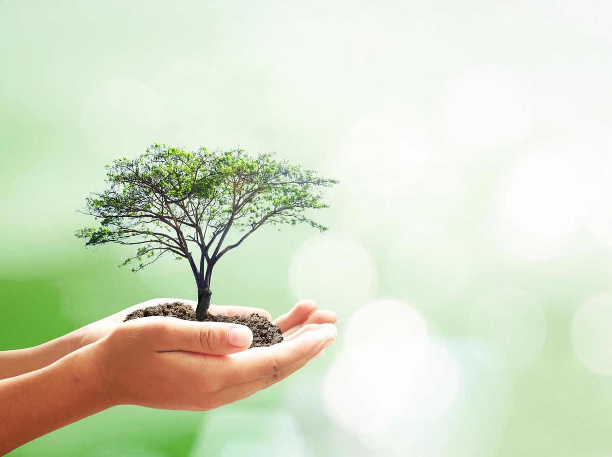 The most effective individual steps to battle climate change