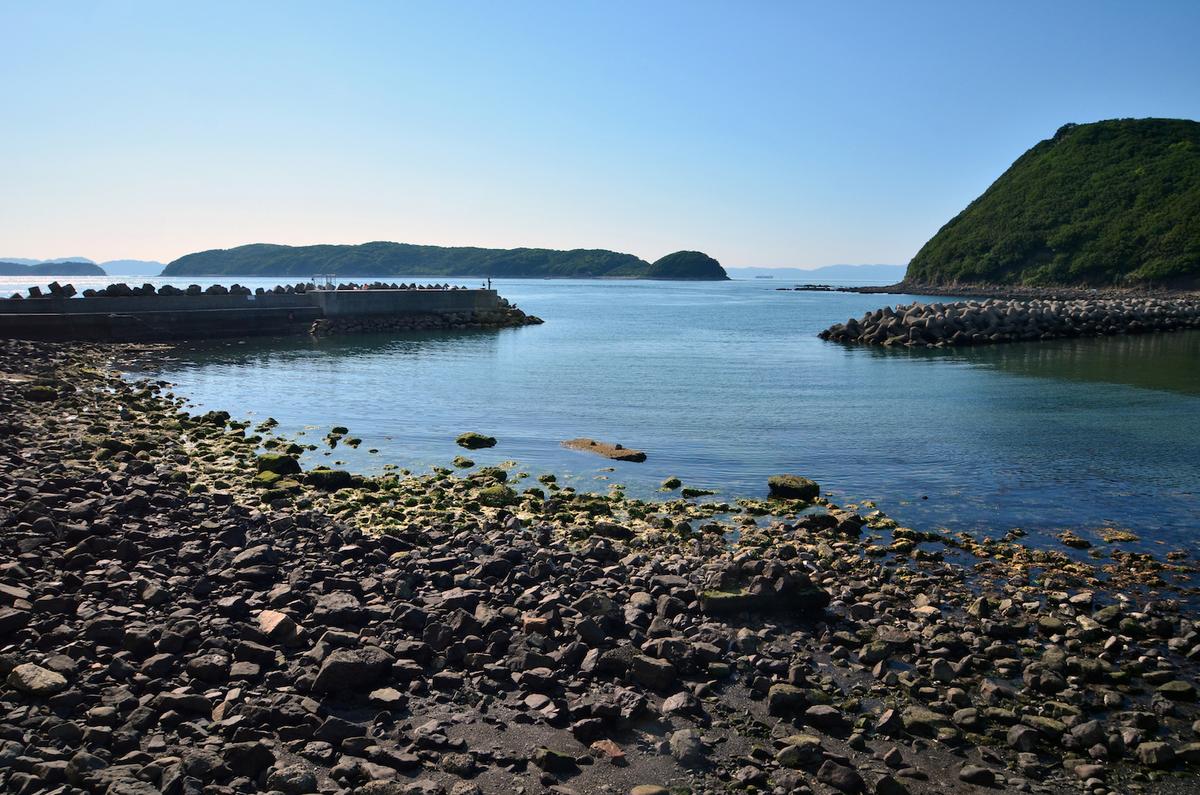 Why invasive coastal plants are better than no plants at all