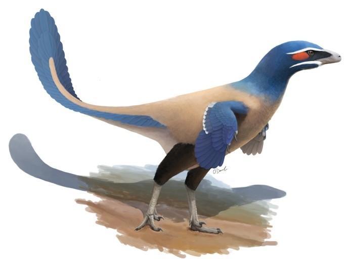 New species of dinosaur named after Canadian science star