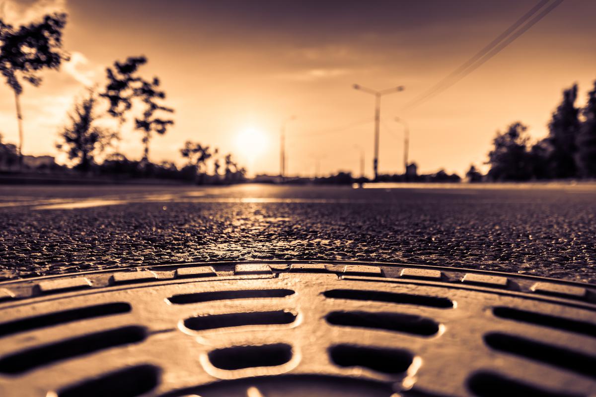 Sewer vs septic system: which is better for the environment?