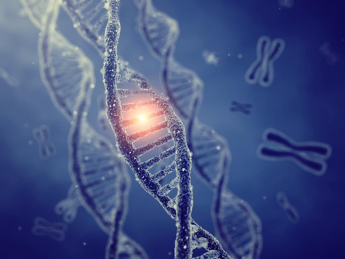 Scientists discover how to silence genes, could prevent disorders