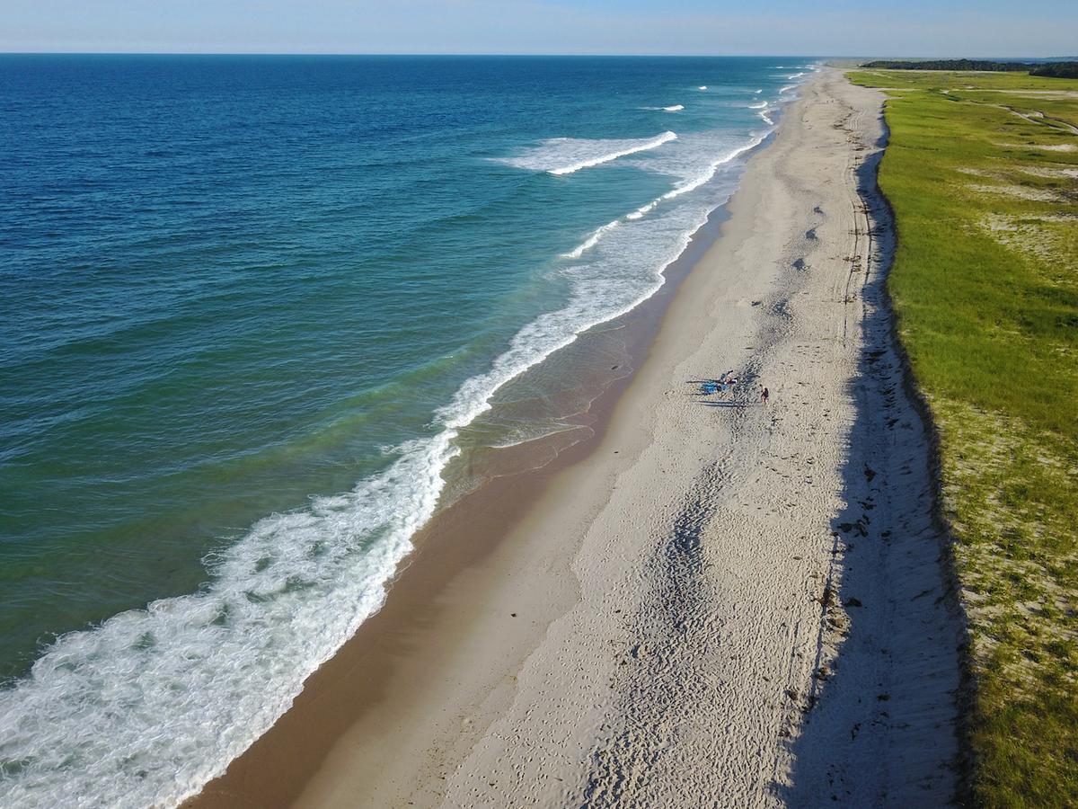 Shark sightings shut down beaches on Cape Cod