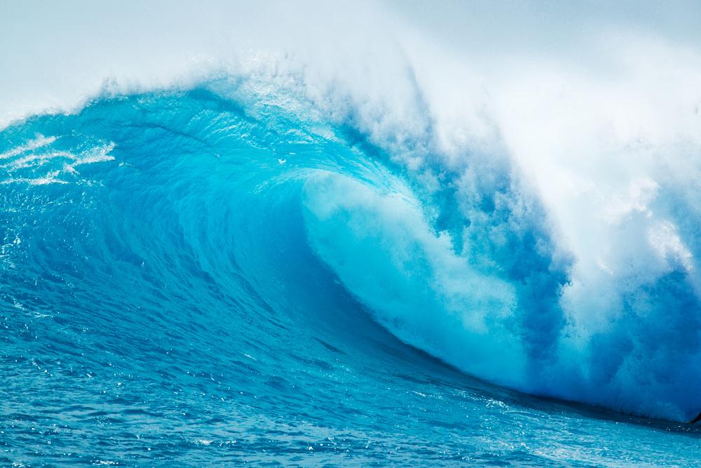 Could sea energy help power the future?