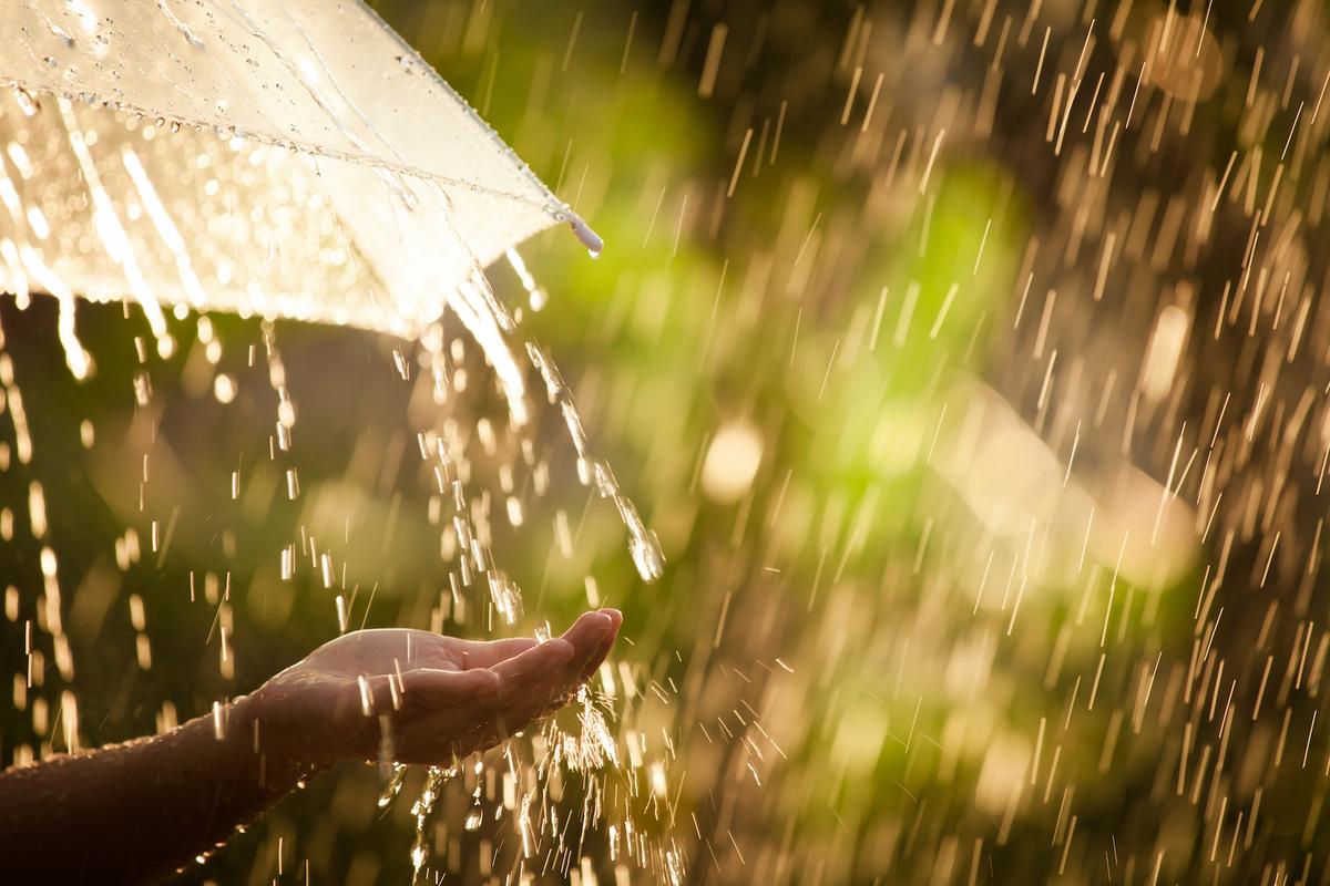 The Top 10 wettest places in the world