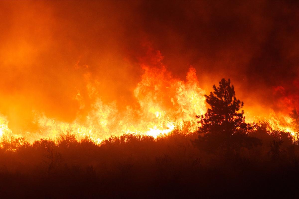 21 dead as wildfires ravage Northern California’s wine country