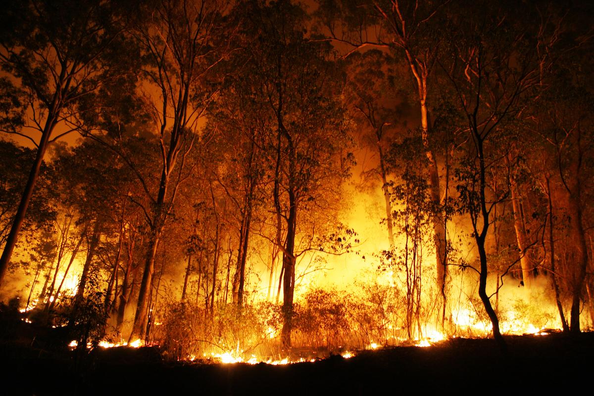The 10 worst fire disasters in U.S. history