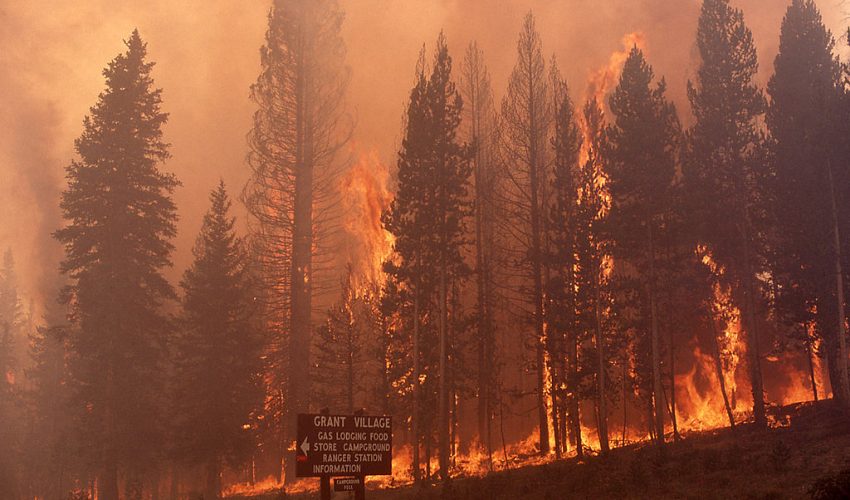 The Yellowstone Fires of 1988