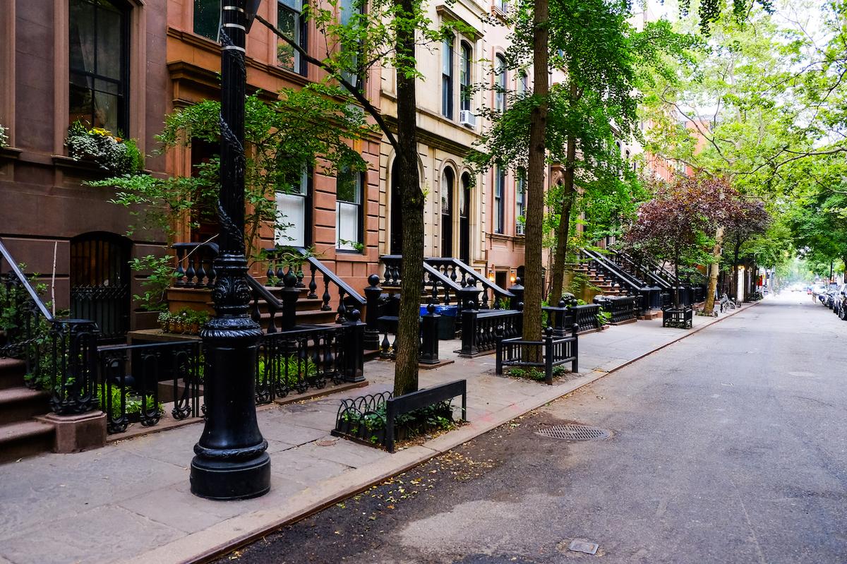 Trees grow faster in cities, study confirms