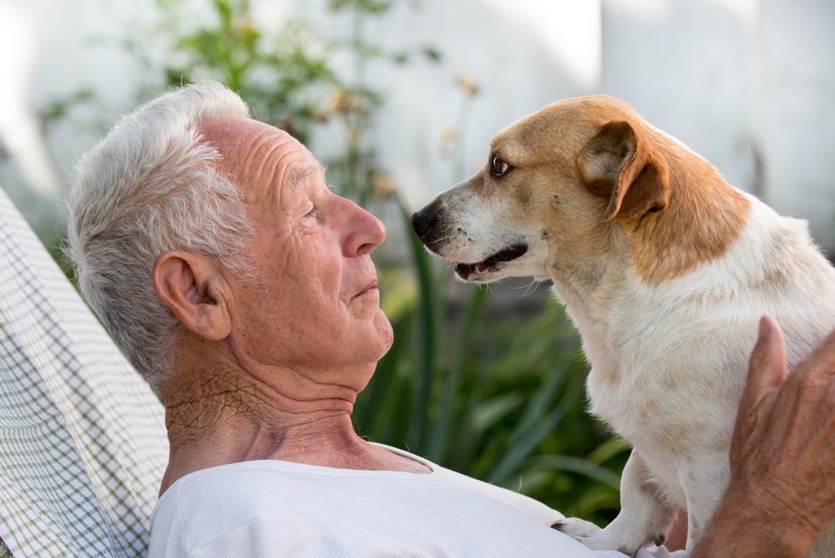 Adopting a dog can actually extend your life