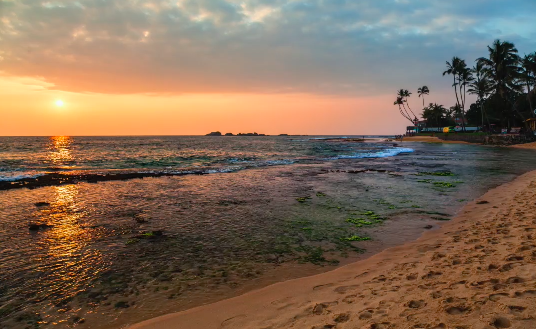 The ocean could offer alternatives to opioids