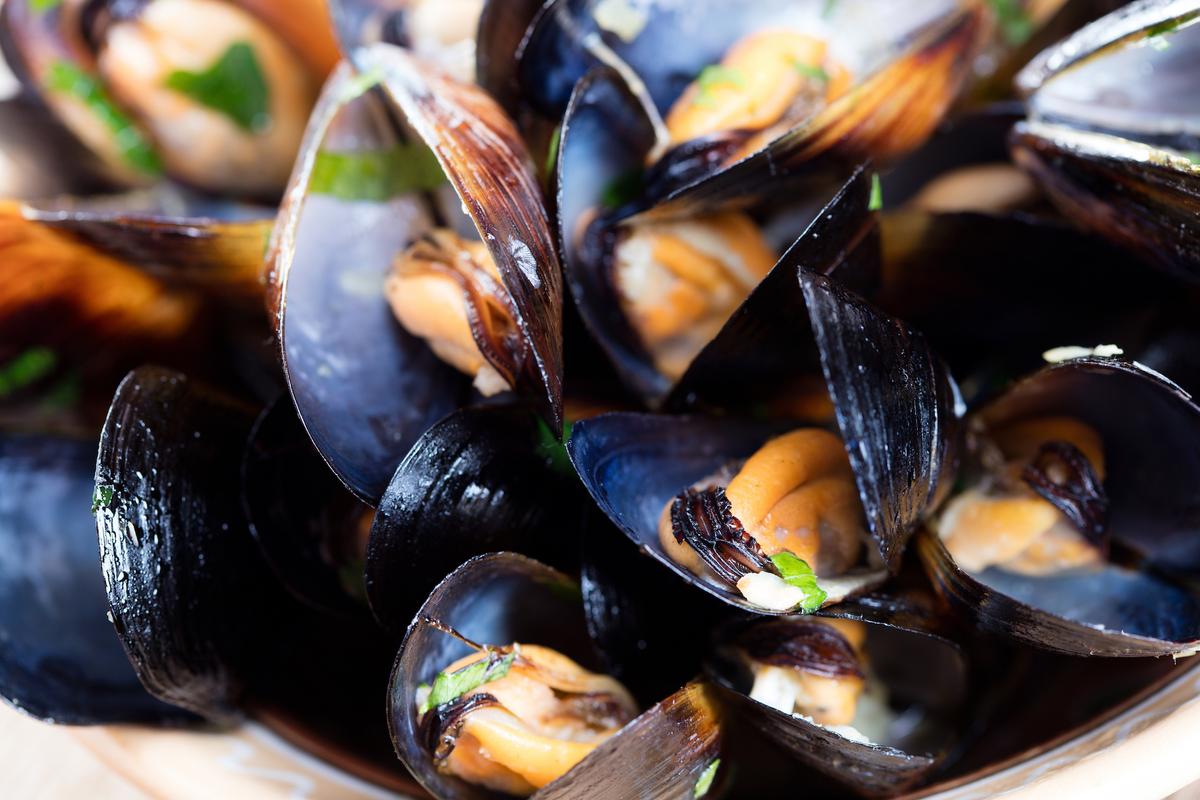Seafood lovers beware: there may be plastic in your mussels