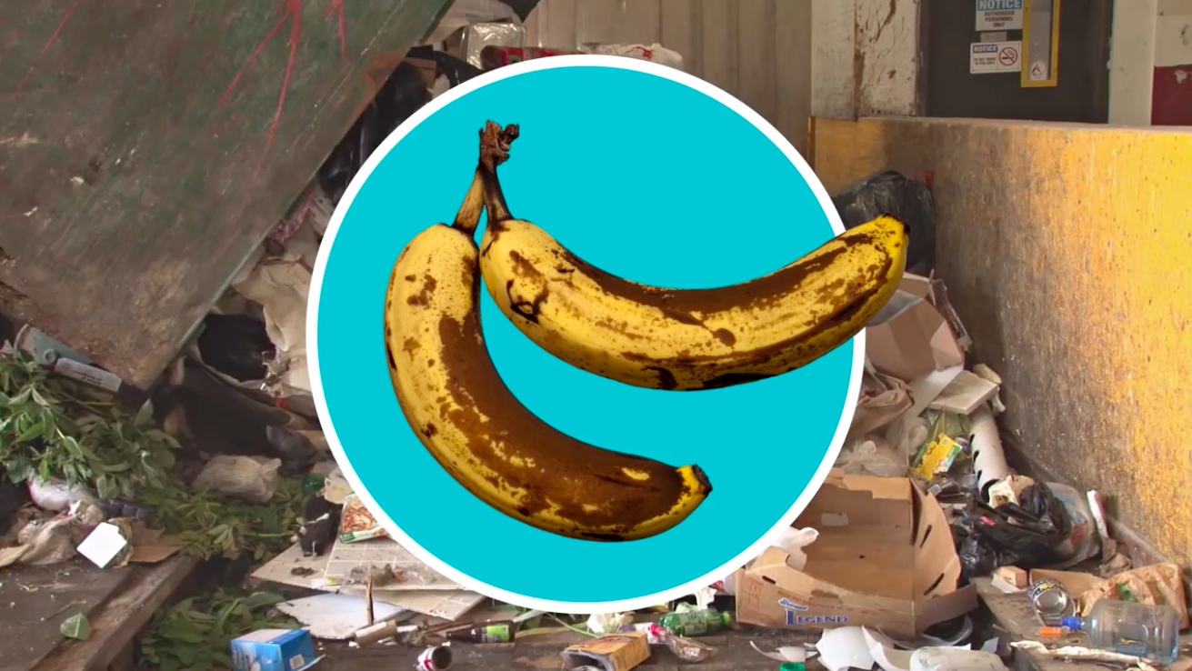 How to tell when food needs to be thrown away
