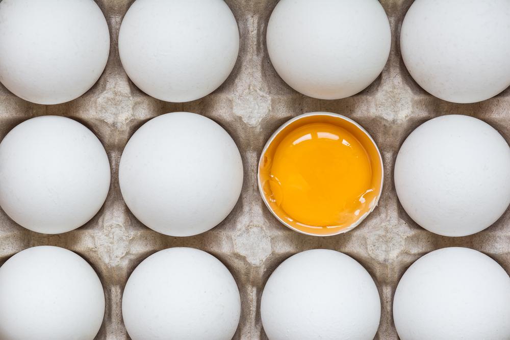 Eggs may be secret to high IQ in babies