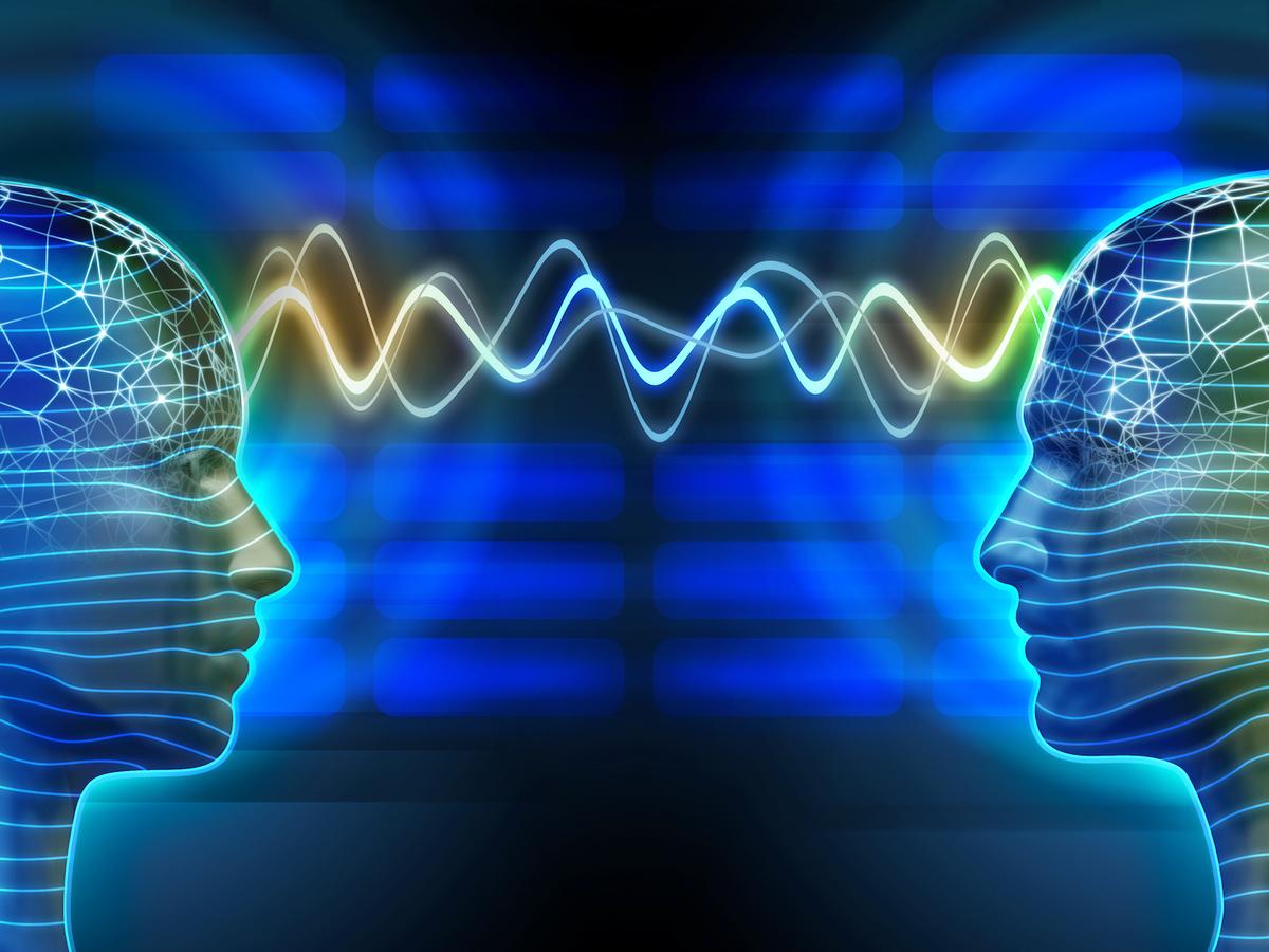 The Interbrain: The wifi network of our brains