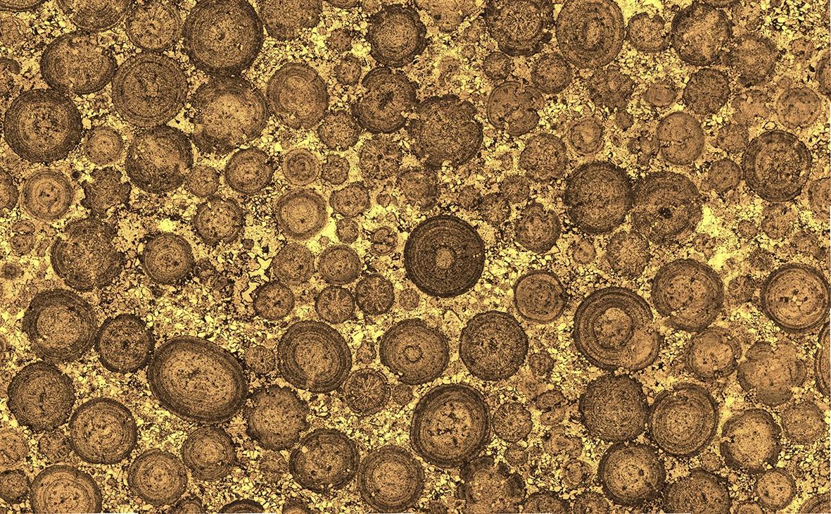 Empire State Building, Pentagon built with ancient microbes