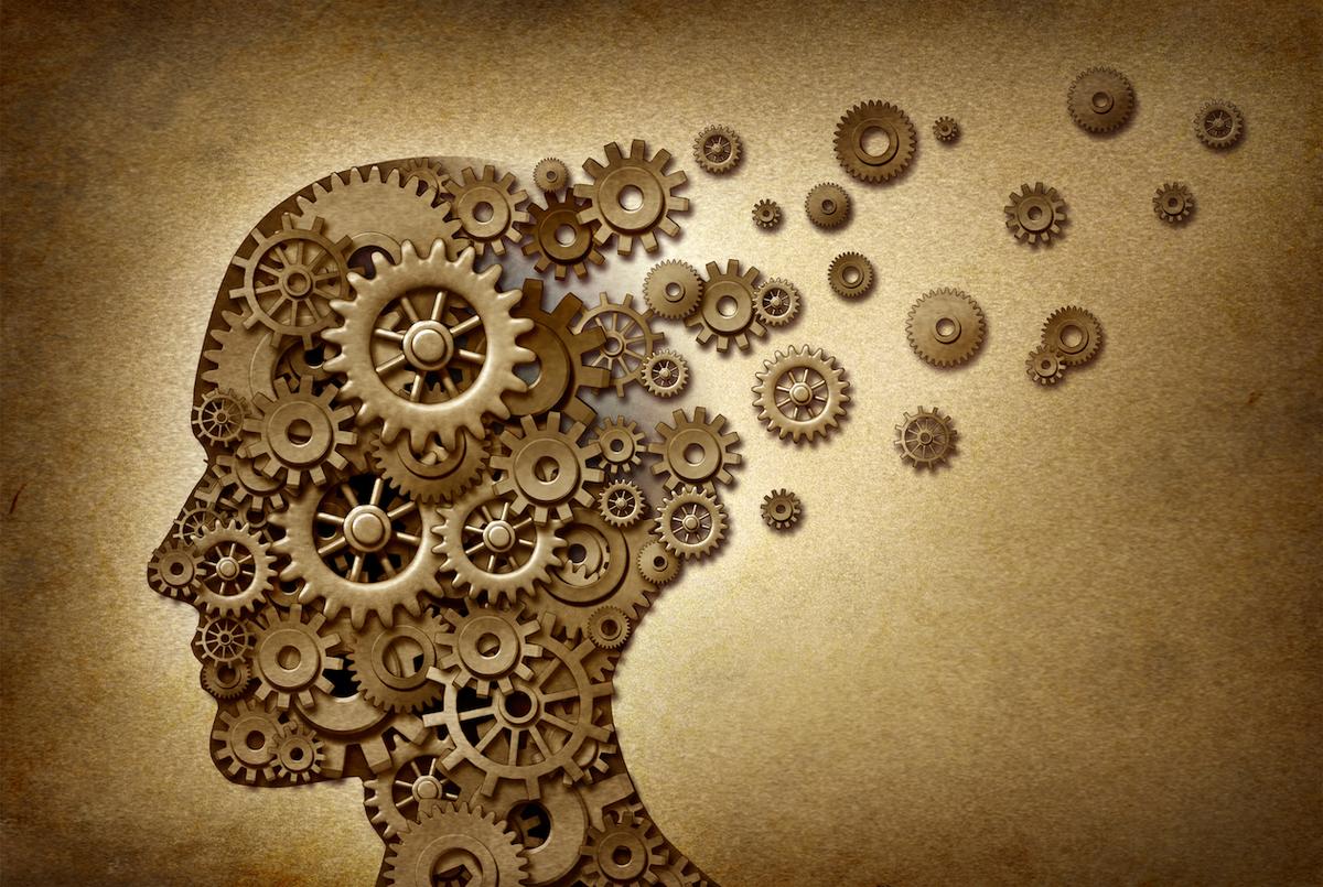 How the brain discerns between like and dislike
