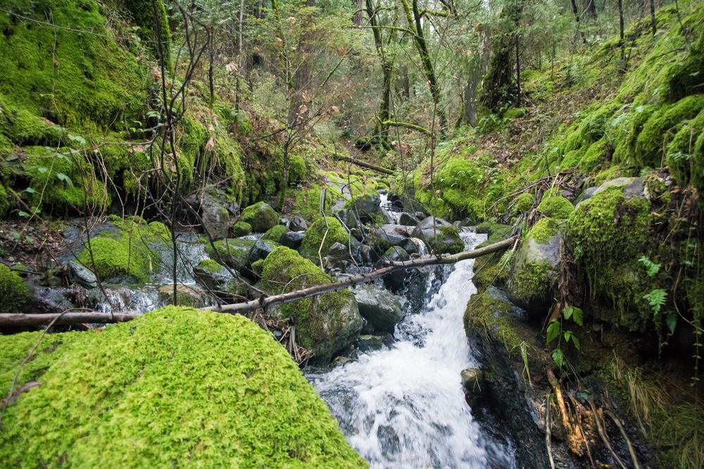 Project WET teaches students about water cycle, healthy ecosystems